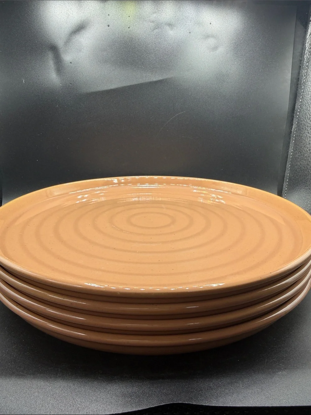 Stoneware Dinner Plates in Warm Tan - Set of 4 Hearth & Hand
